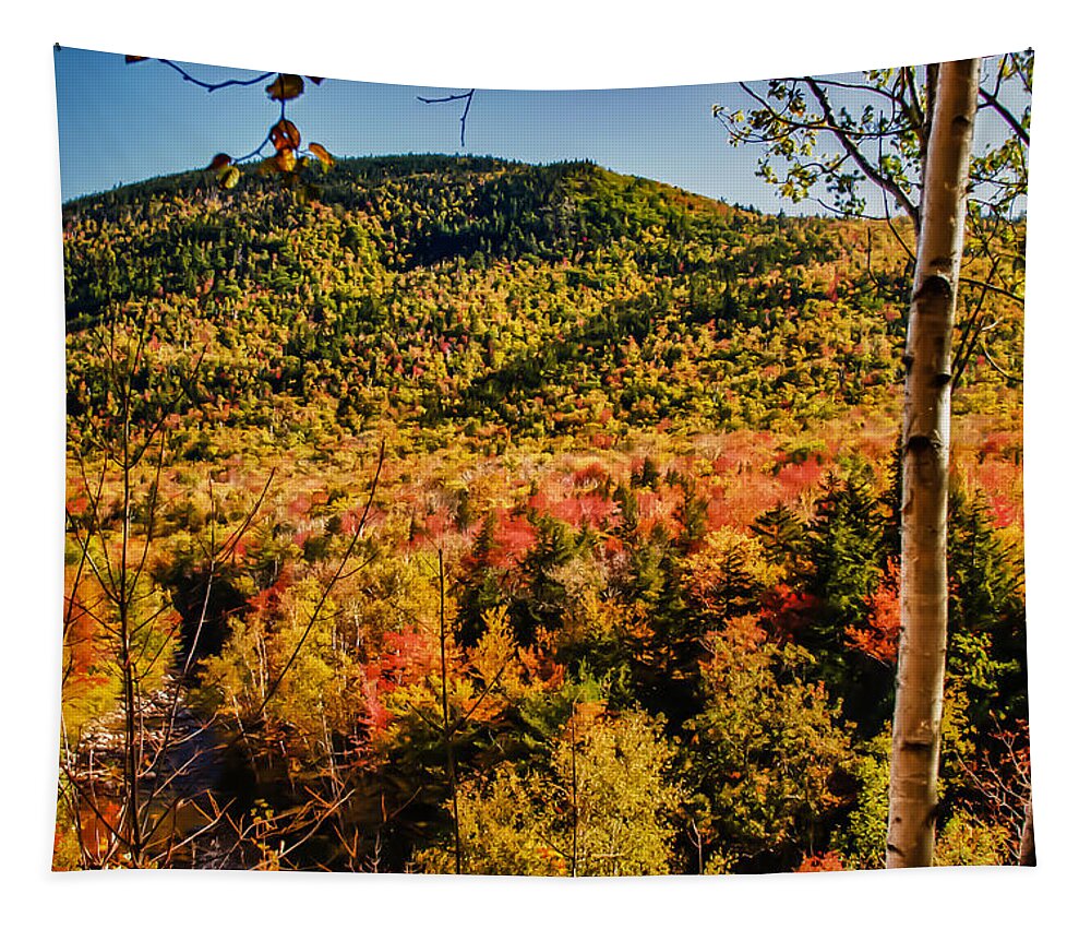 #fallfun Tapestry featuring the photograph Foliage View from Crawford Notch road by Jeff Folger