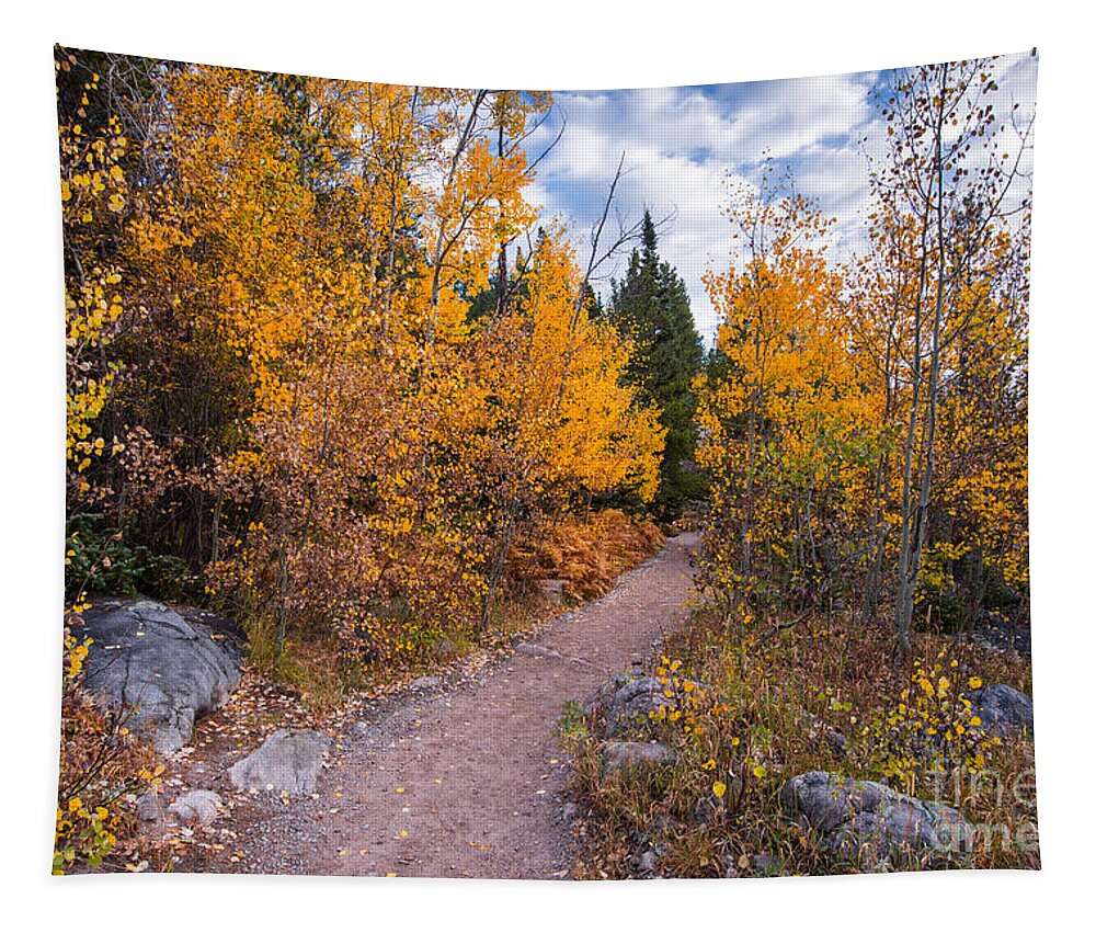 Estes Tapestry featuring the photograph Follow the Yellow Road - Glacier Gorge Rocky Mountain National Park - Estes Park Colorado by Silvio Ligutti
