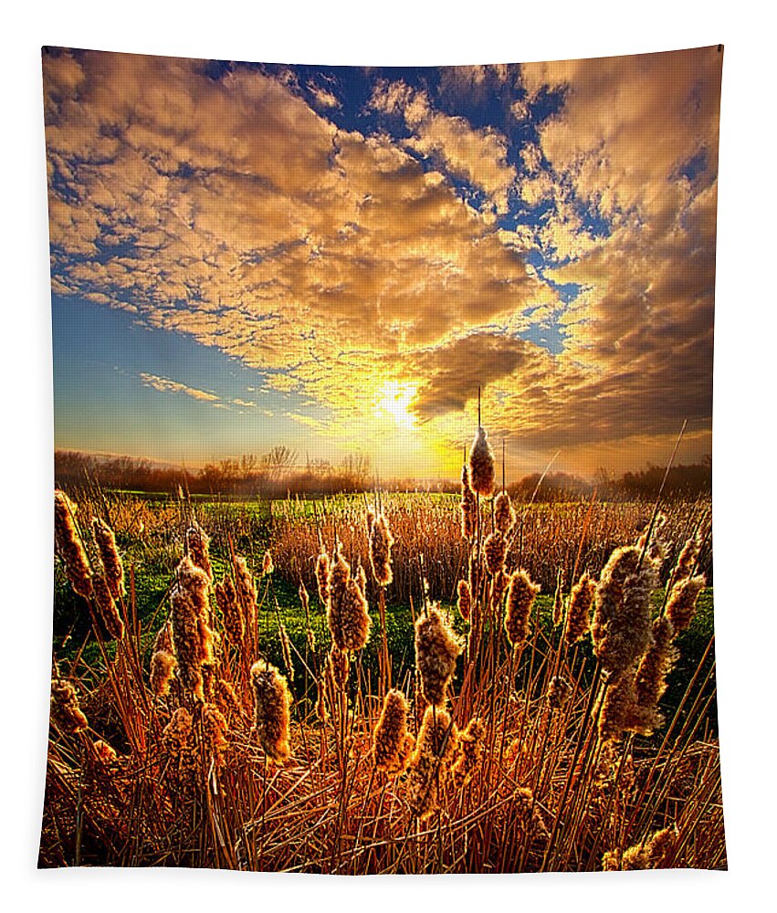 Cat Tails Tapestry featuring the photograph For A Moment by Phil Koch