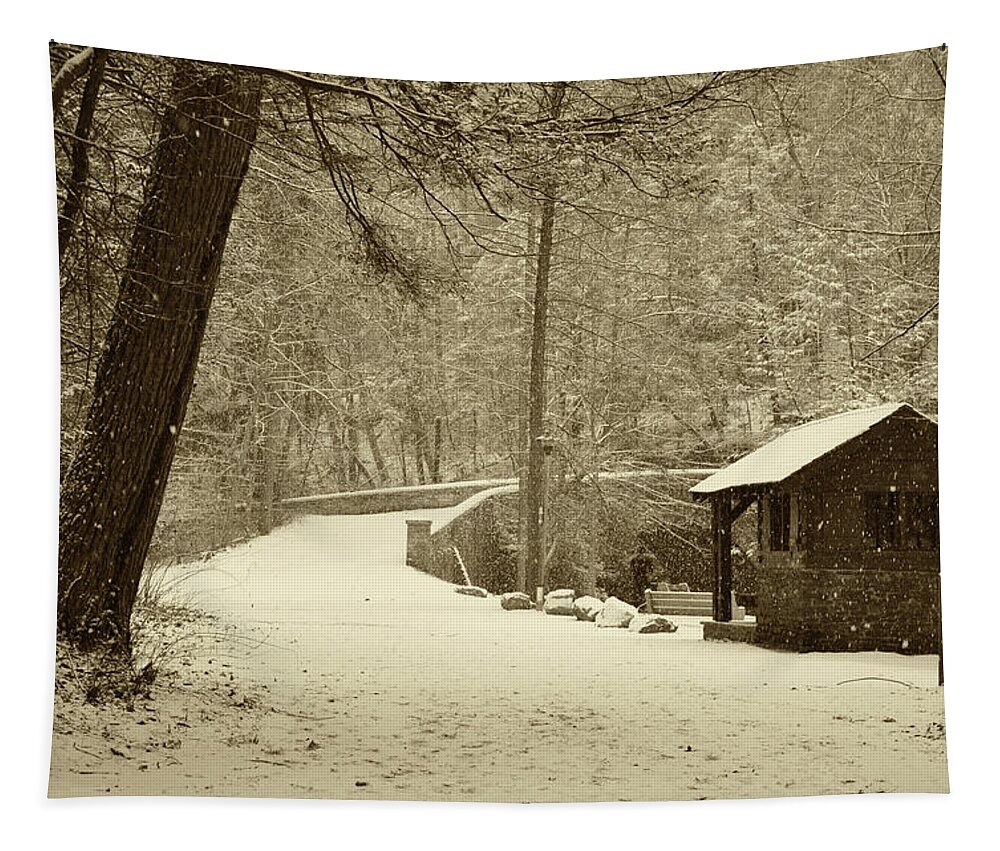 Wissahickon Tapestry featuring the photograph Forbidden Drive in Winter by Bill Cannon