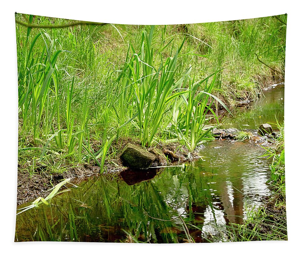 Brook Tapestry featuring the photograph Forest Brook by Elena Perelman