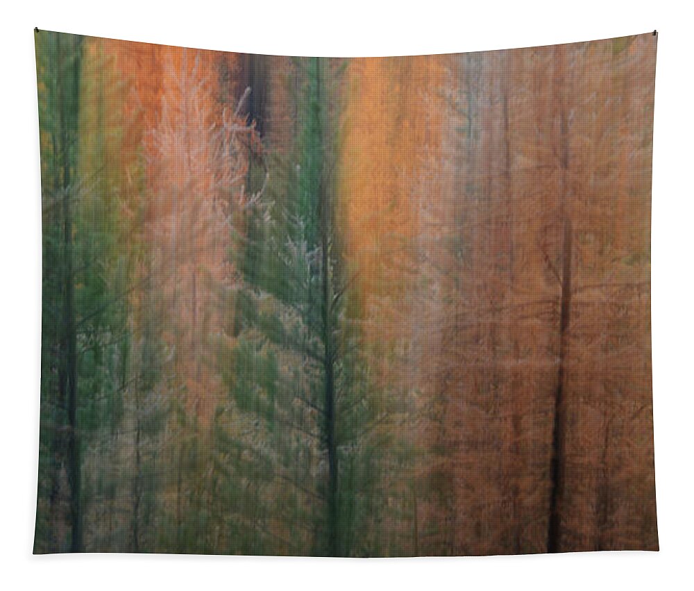 Autumn Tapestry featuring the photograph Forest Illusion- Autumn Born by Whispering Peaks Photography