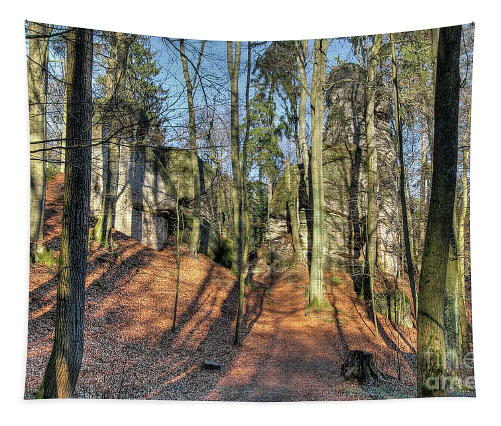 Forest Tapestry featuring the photograph Forest landscape in Bohemian Paradise by Michal Boubin