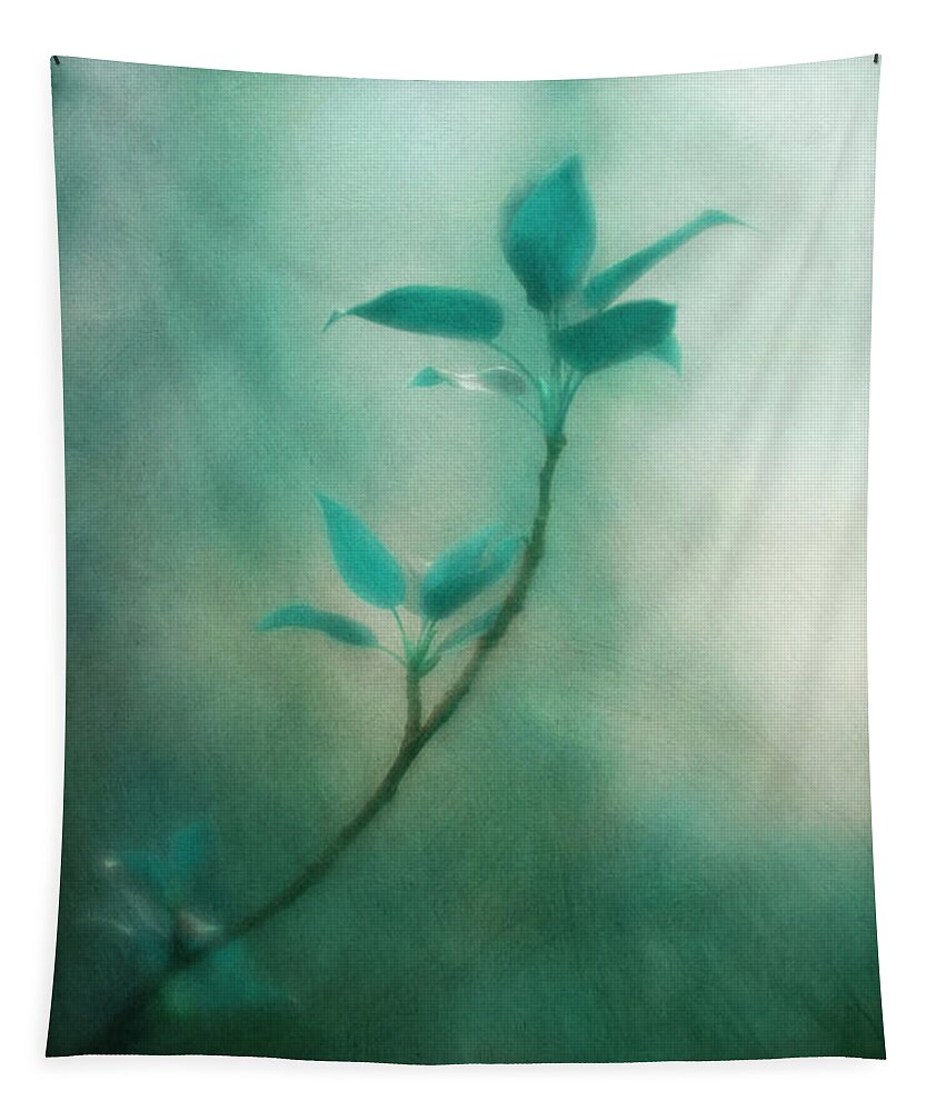 Blue Tapestry featuring the photograph In the deep forest 1 by Priska Wettstein