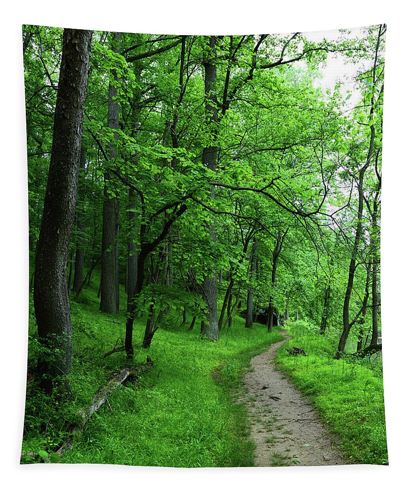Forest Trail Tapestry featuring the photograph Forest Trail in Patapsco Valley State Park by James Brunker