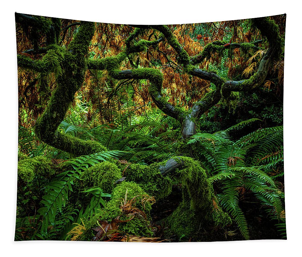 5dsr Tapestry featuring the photograph Forever Green by Edgars Erglis