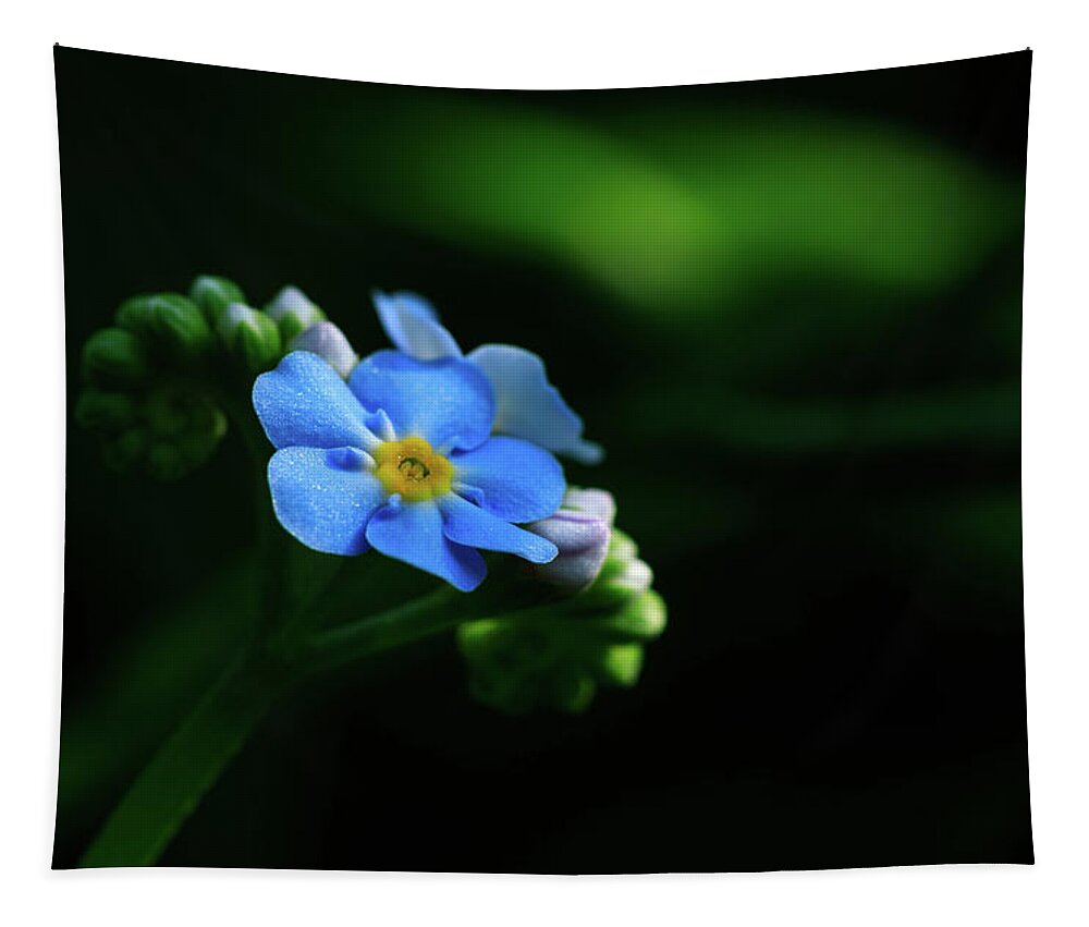 Forget-me-not Tapestry featuring the photograph Forget-me-not by Rob Davies