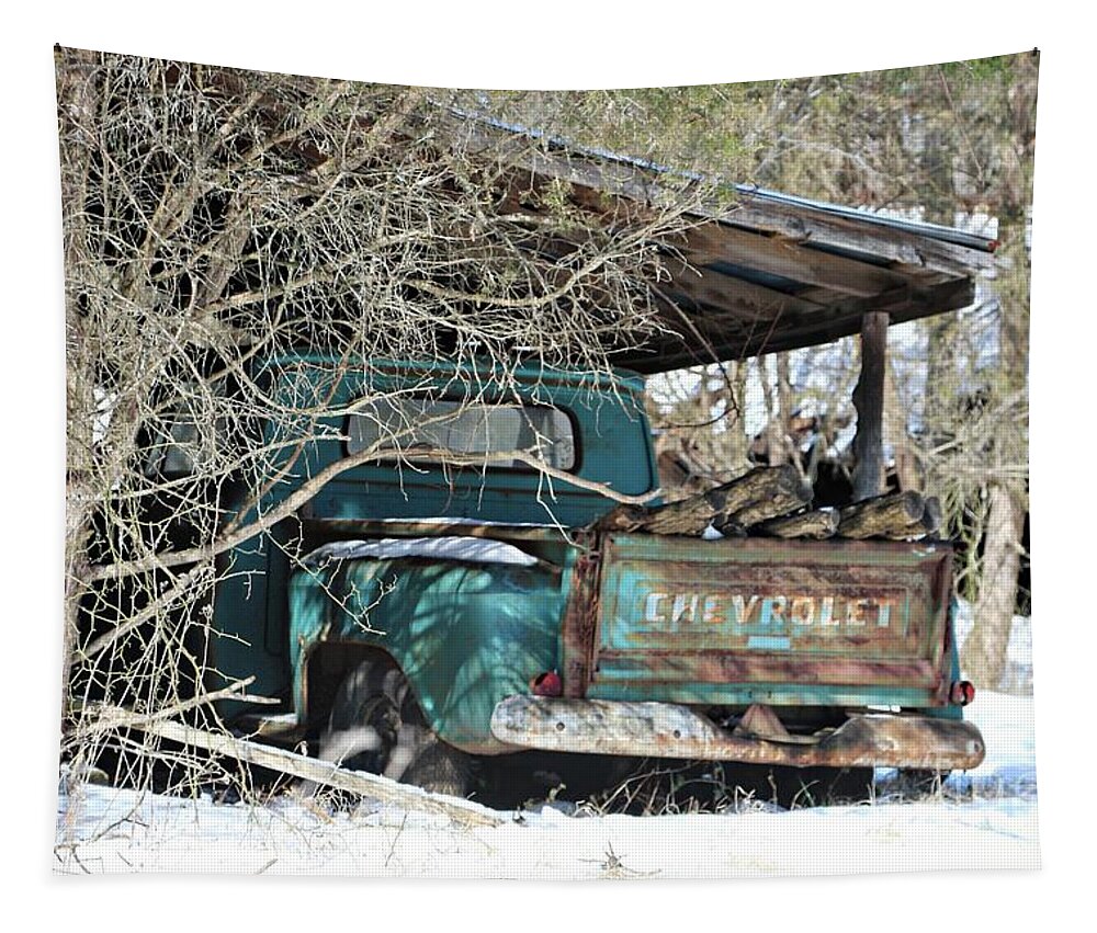 Chevrolet Truck Tapestry featuring the photograph Forgotten Truck by Benanne Stiens