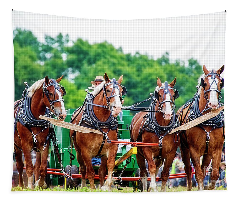 Work Horses Tapestry featuring the photograph Four Beauties at Horse Progress Days by David Arment