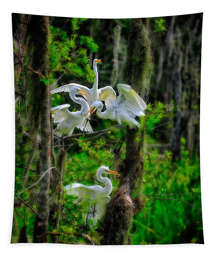 Birds Tapestry featuring the photograph Four Egrets in Tree by Harry Spitz