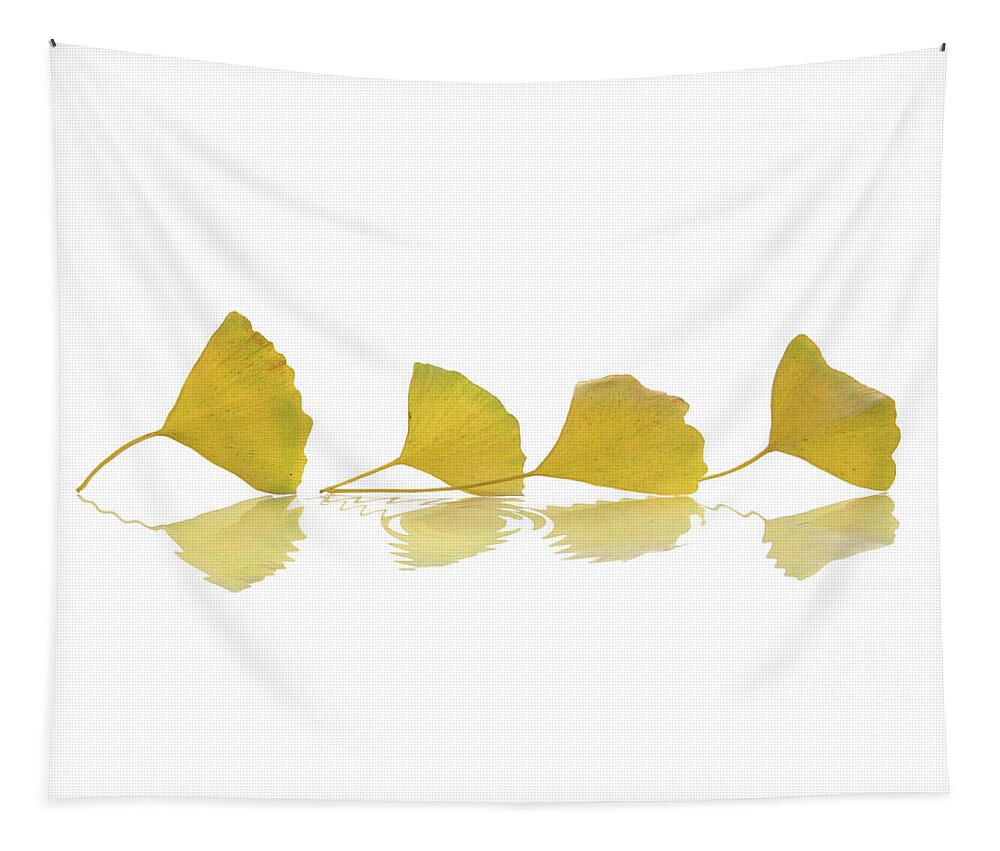 Leaves Tapestry featuring the photograph Four leaves, zen autumn still life by Delphimages Photo Creations