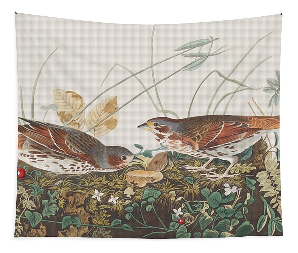 Audubon Tapestry featuring the painting Fox Sparrow by John James Audubon