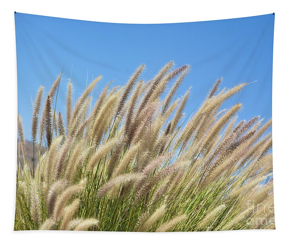 Foxtails Tapestry featuring the photograph Foxtails on a Hill by Leah McPhail
