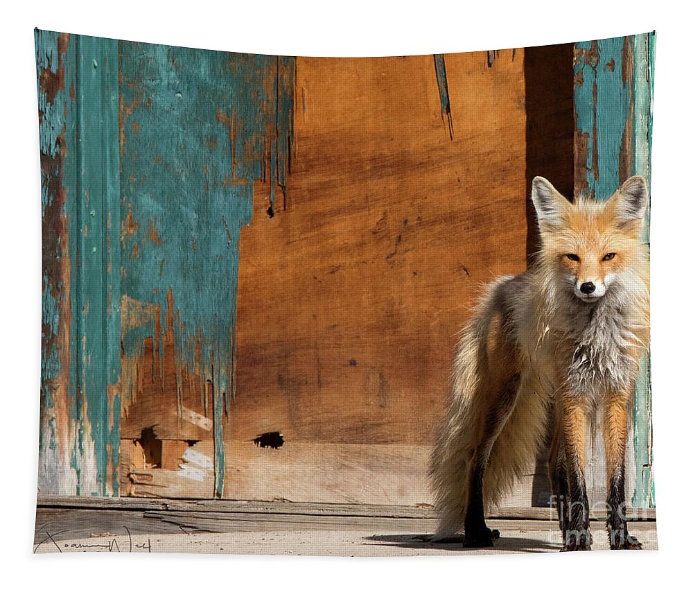 Fox Tapestry featuring the photograph Foxy Momma, Montana by Joanne West