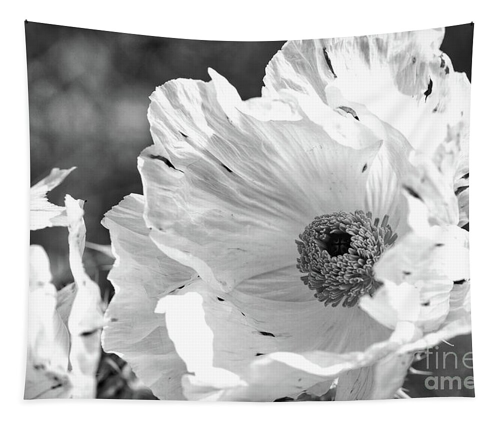 Flower Tapestry featuring the photograph Fragile and Strong by Ana V Ramirez