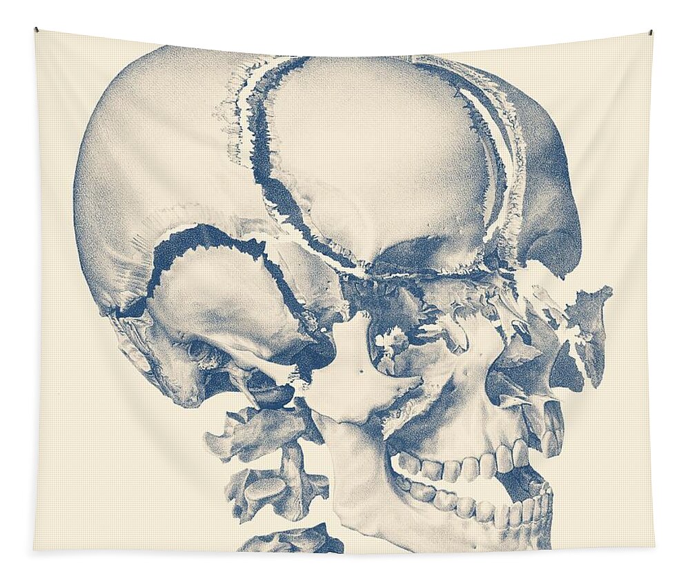 Skull Tapestry featuring the drawing Fragmented Human Skull - Vintage Anatomy Print by Vintage Anatomy Prints