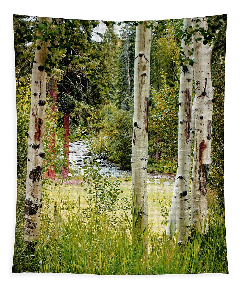 Trees Tapestry featuring the photograph Framed By Aspens by John Anderson