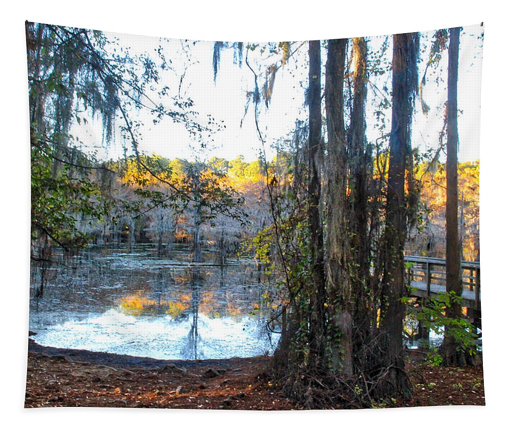Reflections Tapestry featuring the photograph Framed Reflections by Linda James