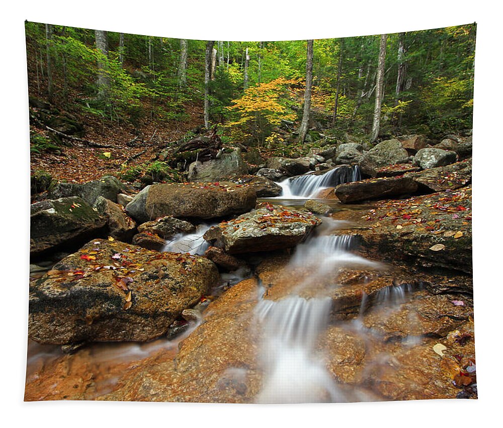 Cascade Brook Tapestry featuring the photograph Franconia Notch State Park by Juergen Roth