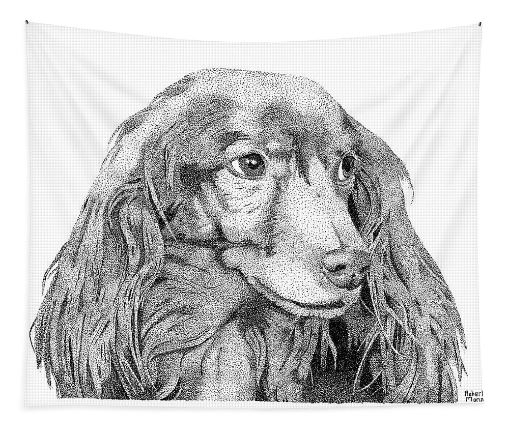 Longhair Dachshund Tapestry featuring the drawing Fred by Robert Morin