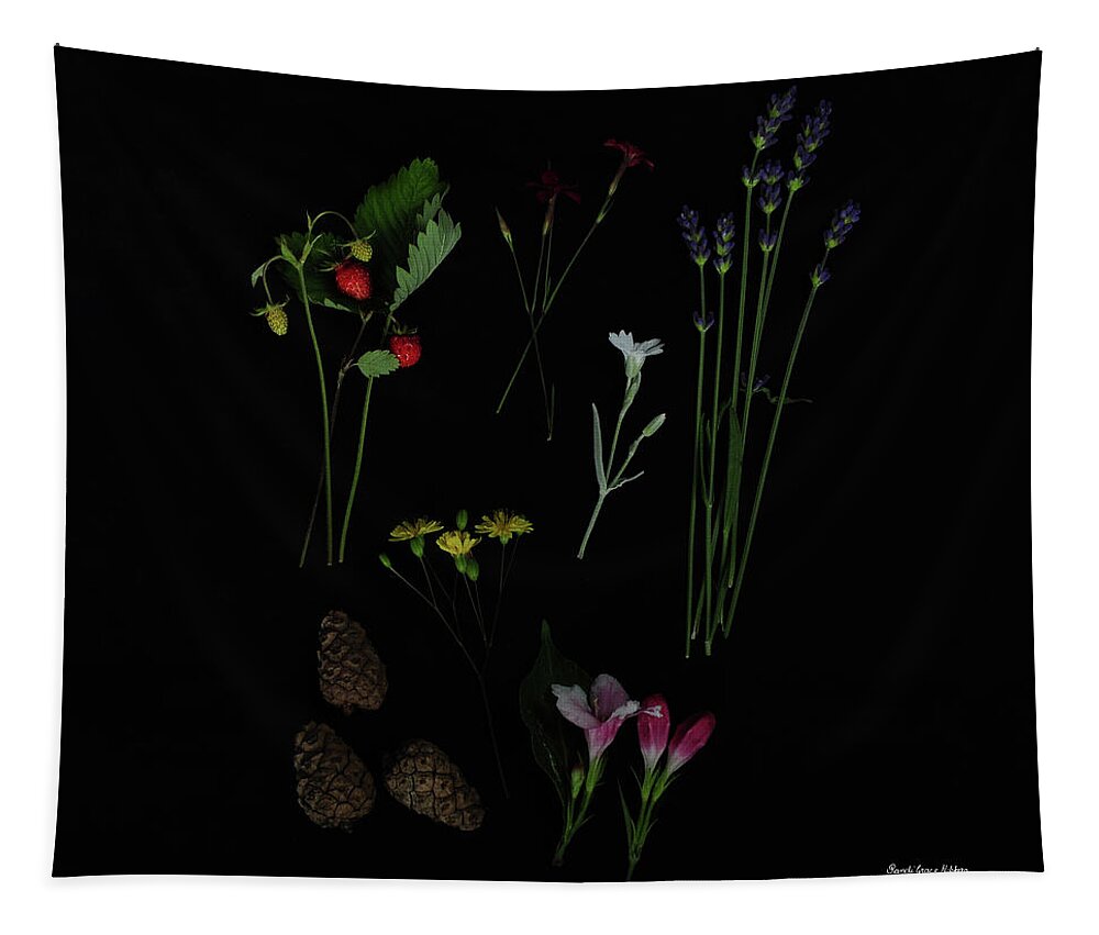 Dark Tapestry featuring the photograph Free Pleasures by Randi Grace Nilsberg