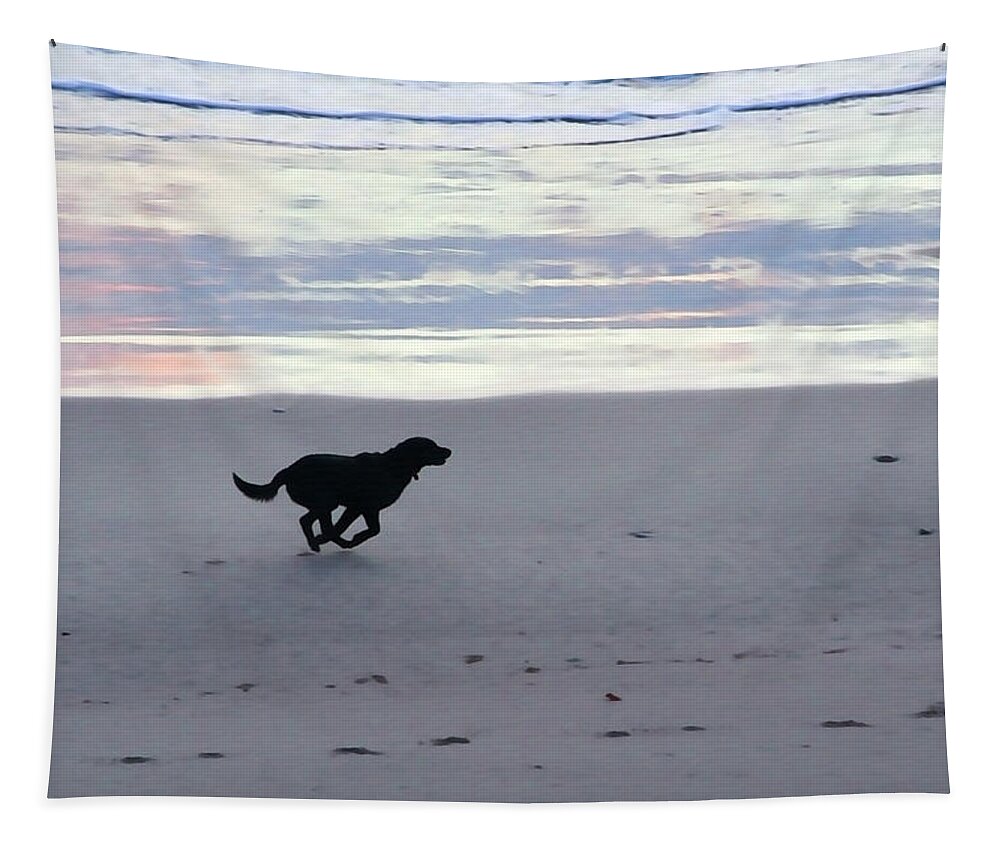 Morro Strand Beach Tapestry featuring the photograph Freedom by Art Block Collections