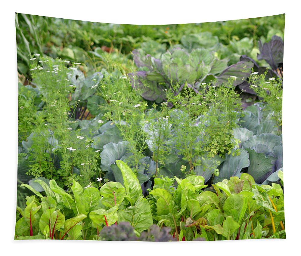 Garden Tapestry featuring the photograph Fresh Garden Greens by Living Color Photography Lorraine Lynch