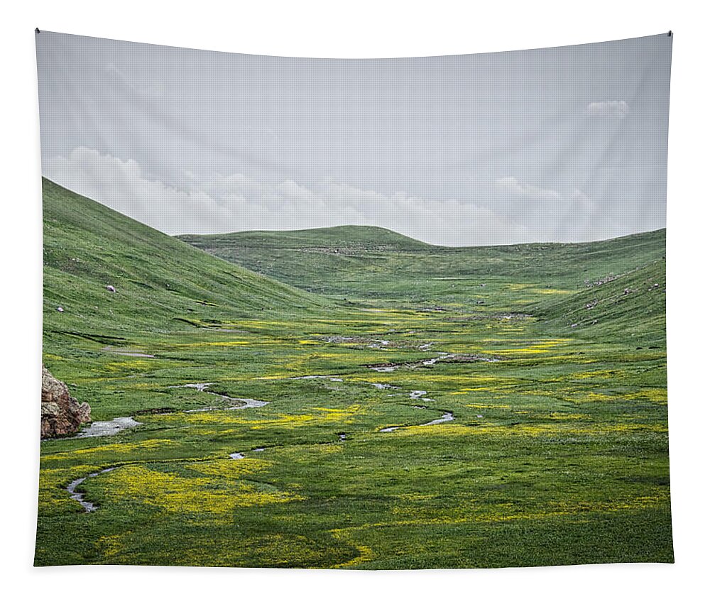 Armenia Tapestry featuring the photograph Fresh Water by Rabiri Us