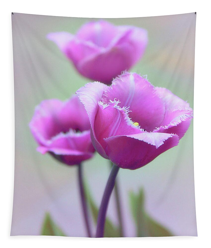 Tulips Tapestry featuring the photograph Fringe Tulips by Jessica Jenney