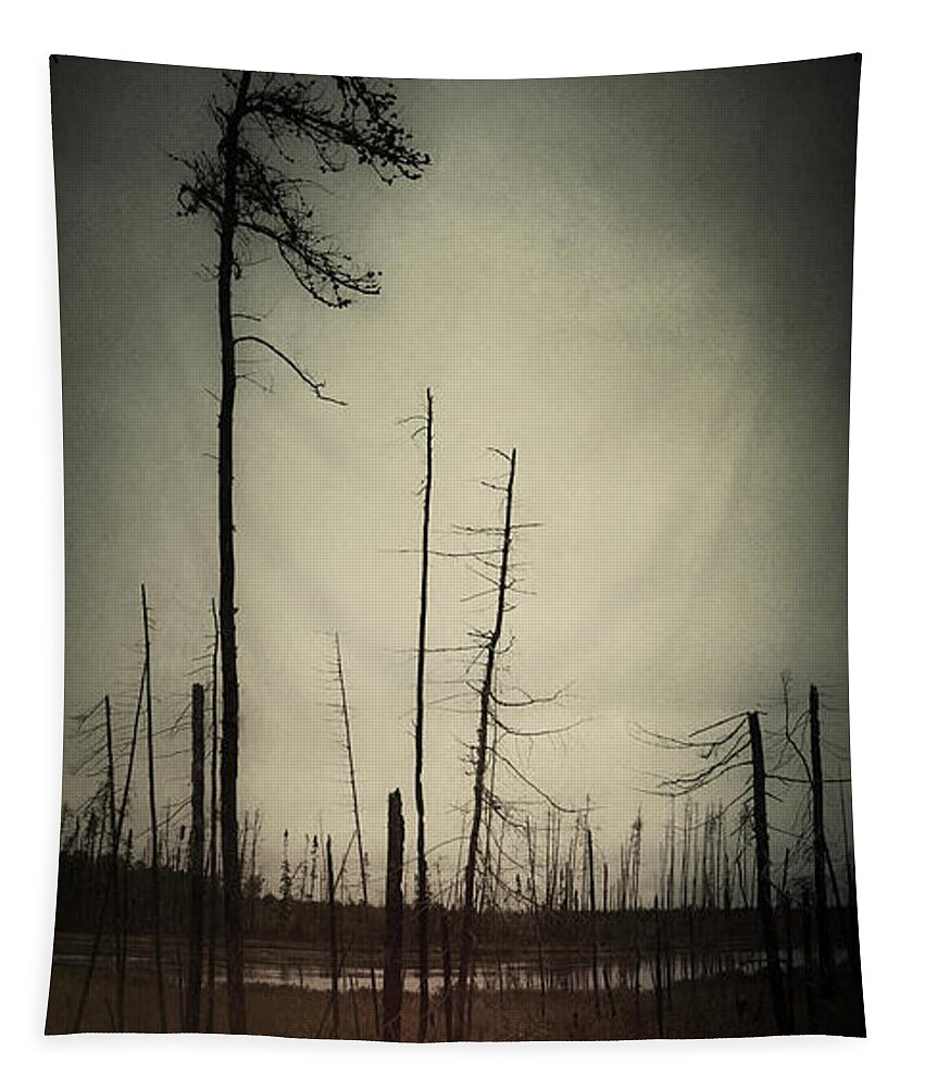 Trees Tapestry featuring the photograph From the Ashes by RicharD Murphy