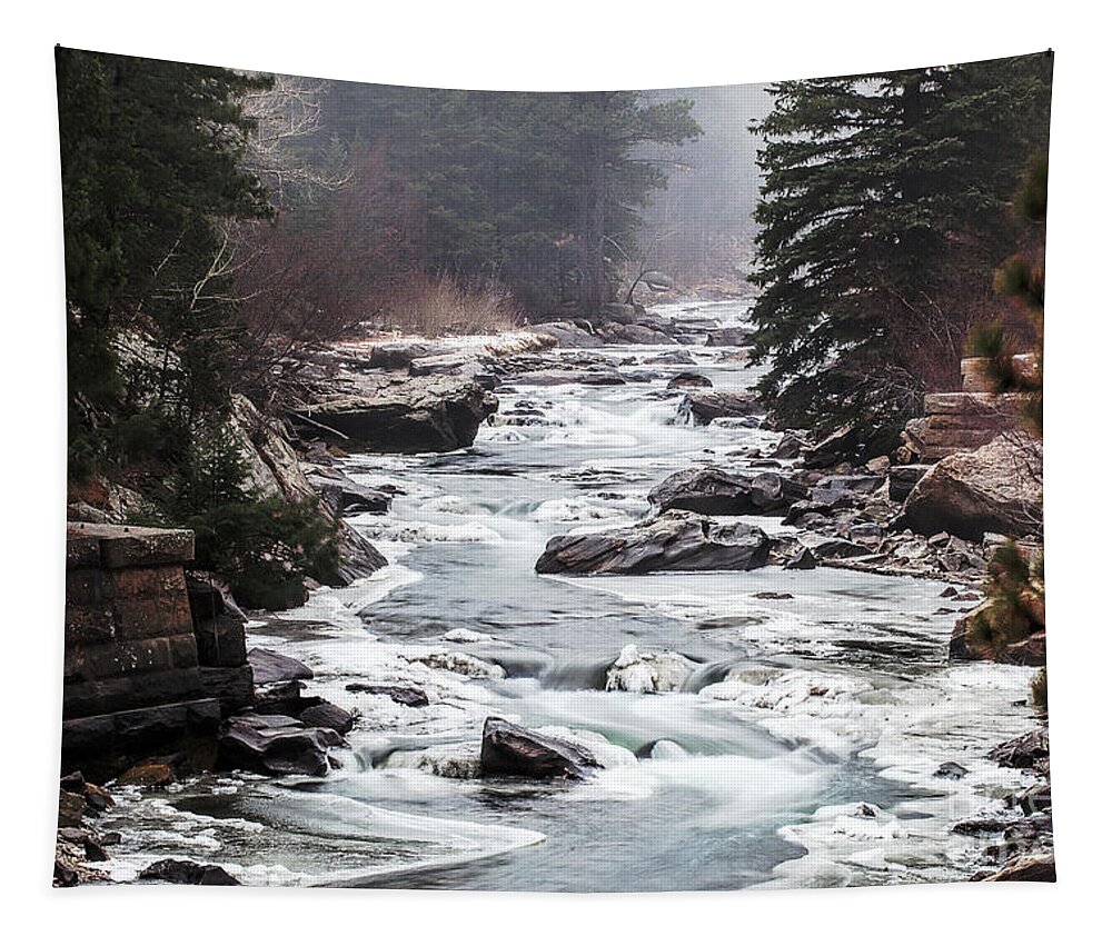Frozen River Tapestry featuring the photograph From the Misty Mountains by Jim Garrison