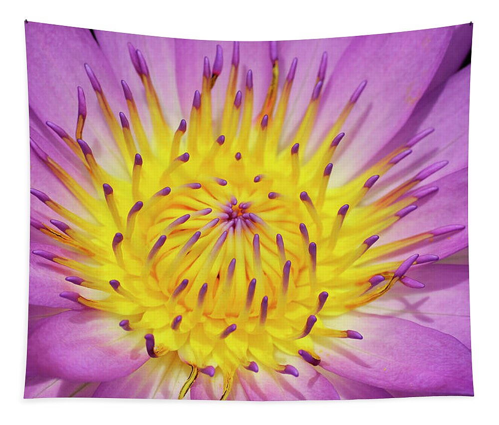 Water Lily Tapestry featuring the photograph Front and Center by Melanie Moraga