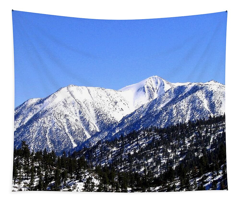 Mountain Tapestry featuring the photograph Frontier Splendor by Will Borden