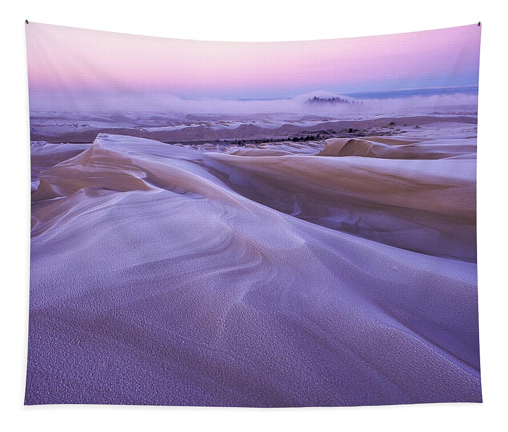 Coast Tapestry featuring the photograph Frost on the Dunes by Robert Potts