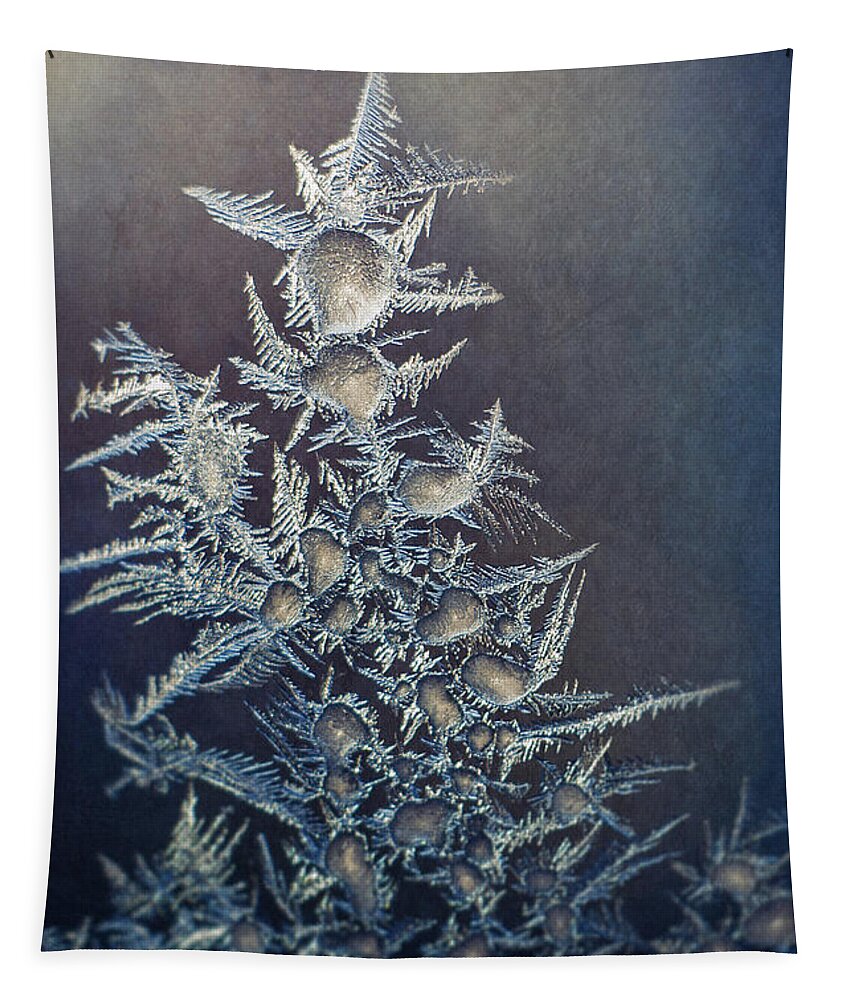 Frozen Tapestry featuring the photograph Frost by Scott Norris
