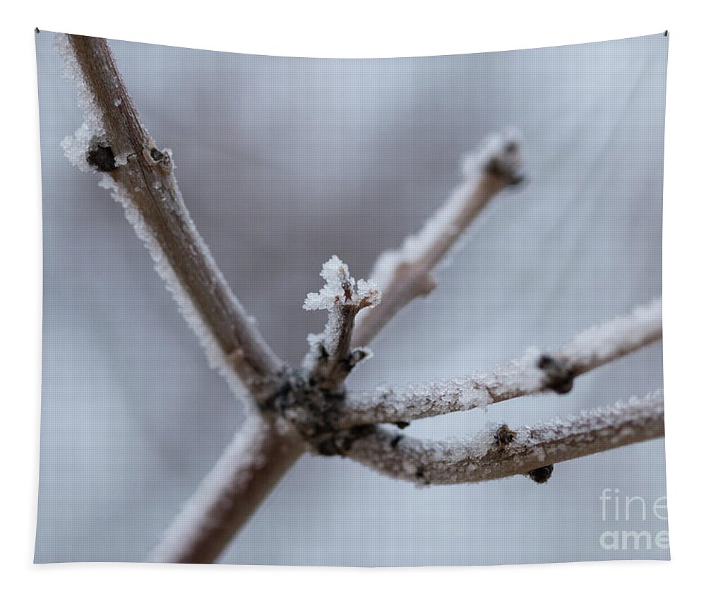 Branch Tapestry featuring the photograph Frosted Morning by Ana V Ramirez