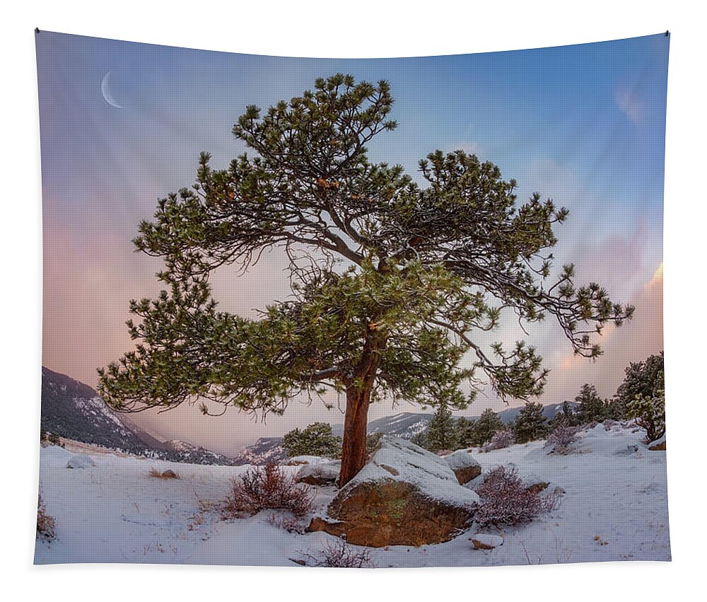 Trees Tapestry featuring the photograph Frosted Mountain Moon by Darren White