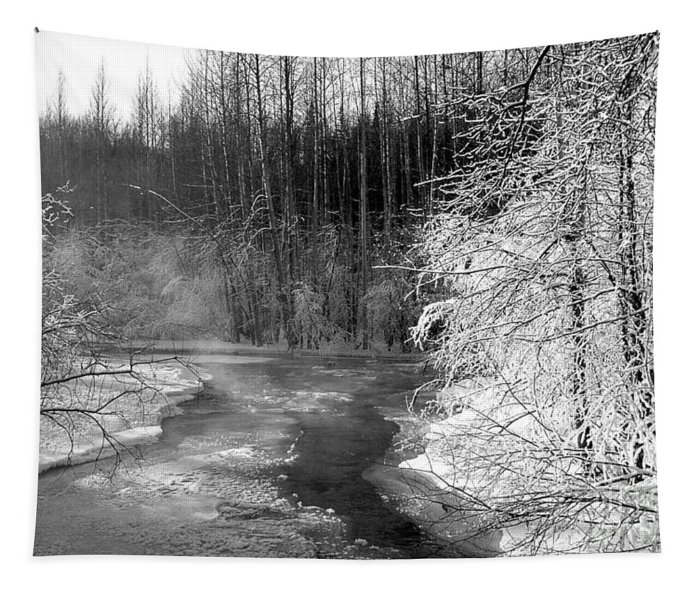 Creek Tapestry featuring the photograph Frozen Creek in Woods by Kimberly Blom-Roemer