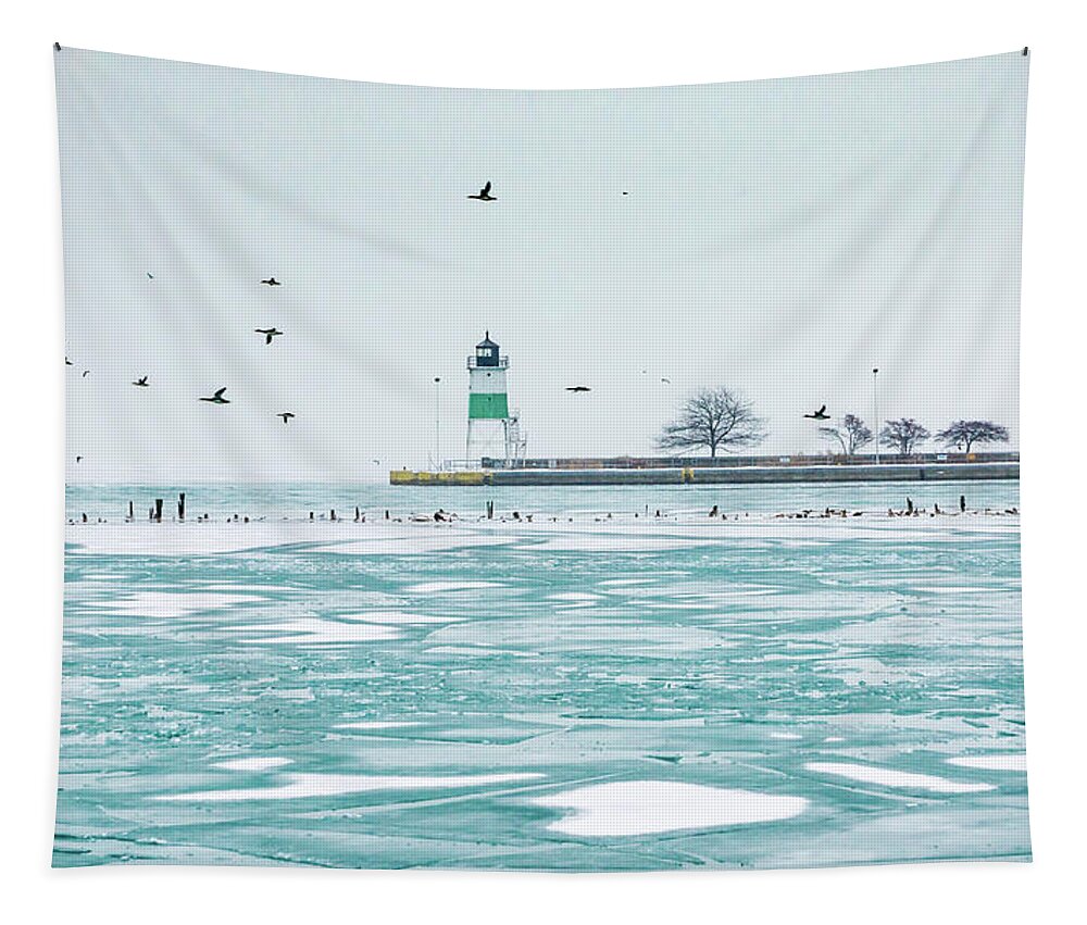 Usa Tapestry featuring the photograph Frozen in Chicago by Framing Places
