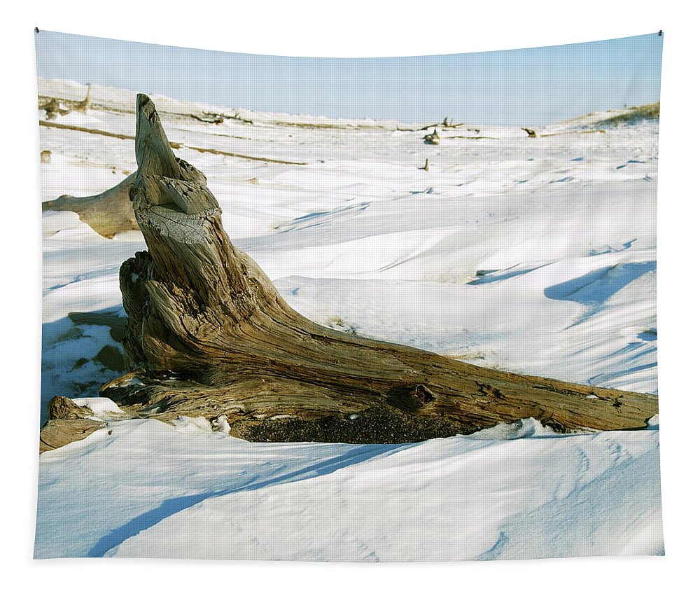 Snow Tapestry featuring the photograph Frozen Shores by Michael Peychich