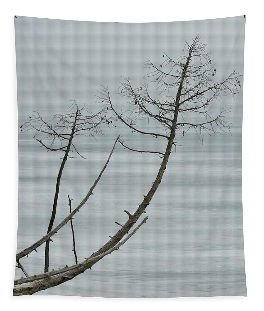 Fog Tapestry featuring the photograph Frozen Silhouette 9154 by Michael Peychich