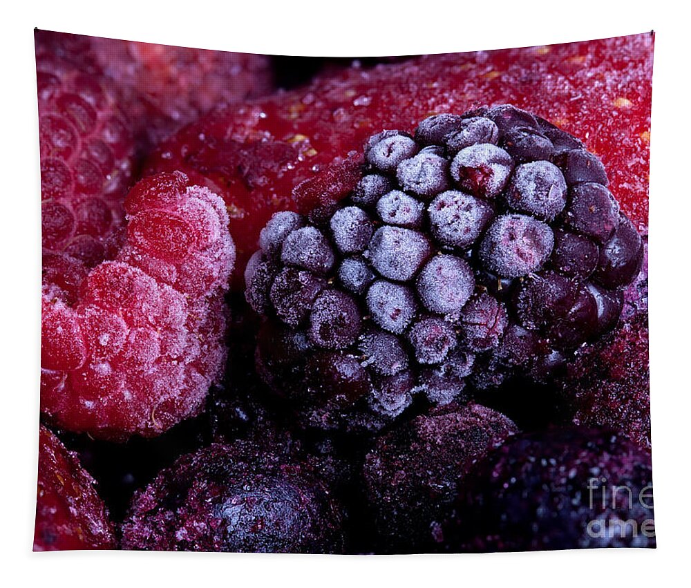 Fruit Tapestry featuring the photograph Frozen summer fruits macro by Simon Bratt