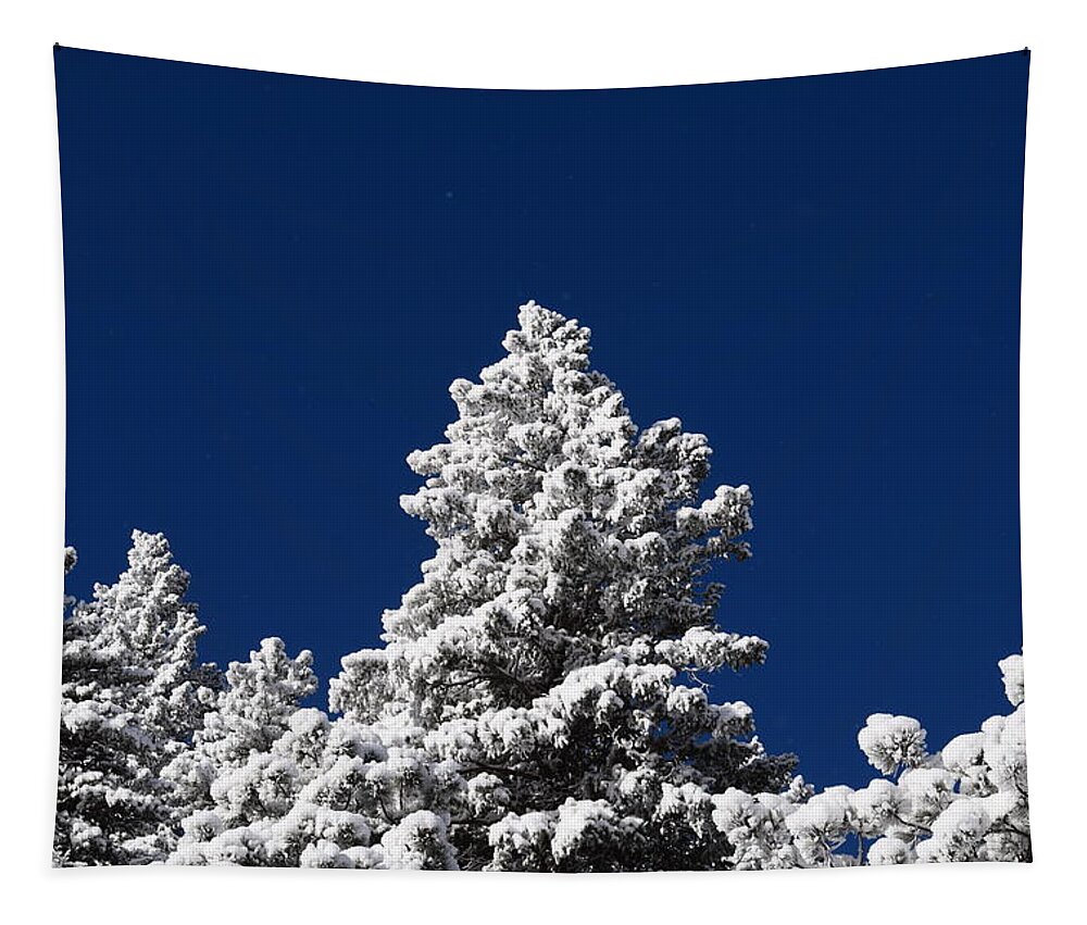 Blue Tapestry featuring the photograph Frozen Tranquility Ute Pass COS CO by Margarethe Binkley