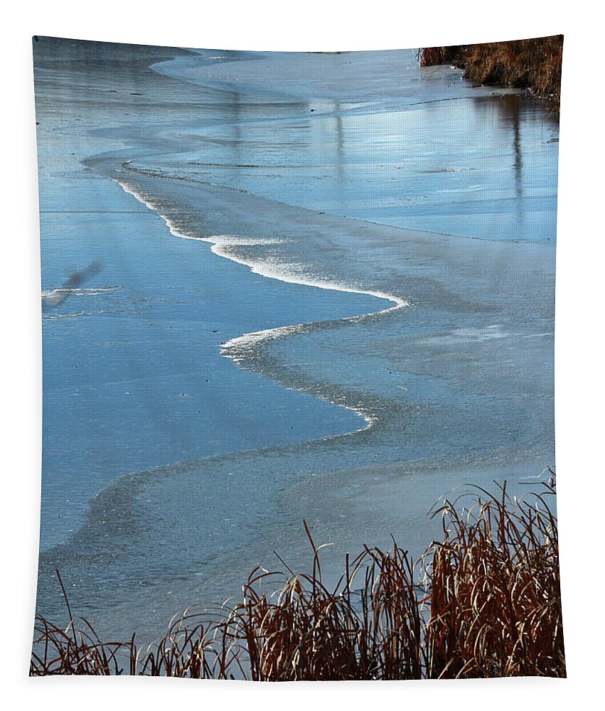 Ice Tapestry featuring the photograph Frozen Waves by Ann E Robson