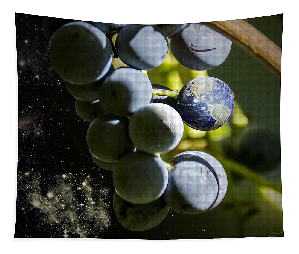 2d Tapestry featuring the photograph Fruit Of The Vine by Brian Wallace