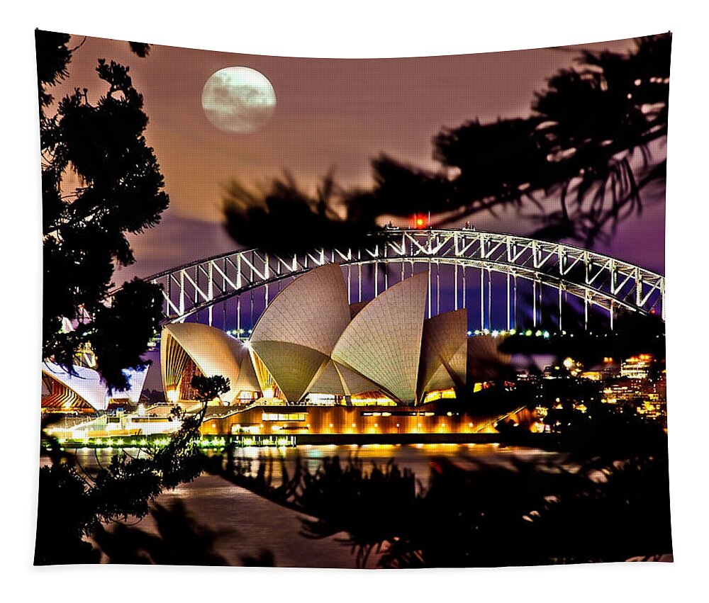 Sydney Tapestry featuring the photograph Full Moon Above by Az Jackson