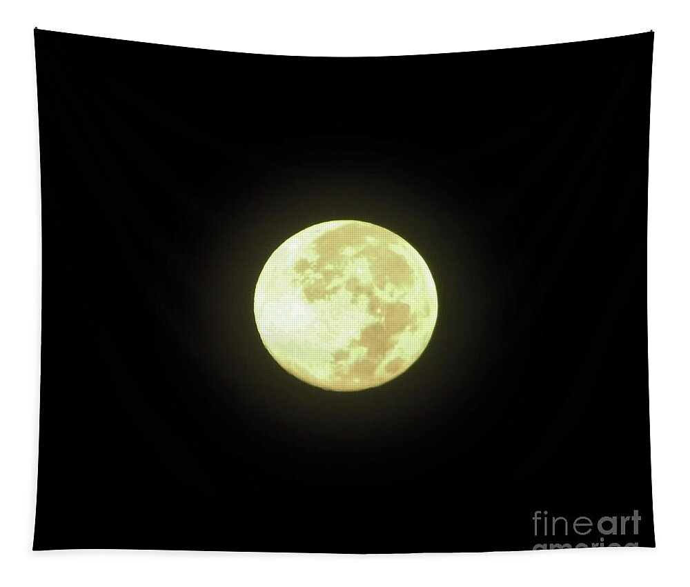 Moon Tapestry featuring the photograph Full Moon August 2014 by D Hackett