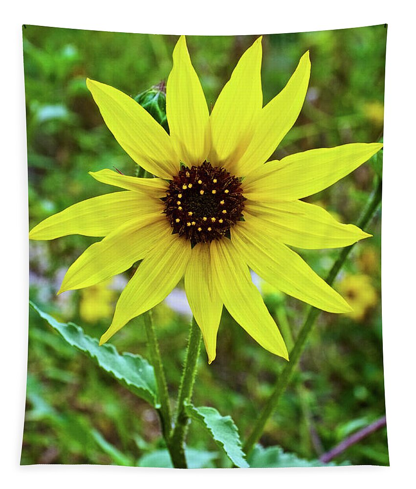 Full Sunflower In Rancho Santa Ana Botanic Gardens Tapestry featuring the photograph Full Sunflower in Rancho Santa Ana Botanic Gardens, Claremont-California by Ruth Hager