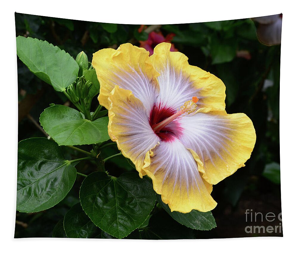 Flowers Tapestry featuring the photograph Future is Bright by Cindy Manero