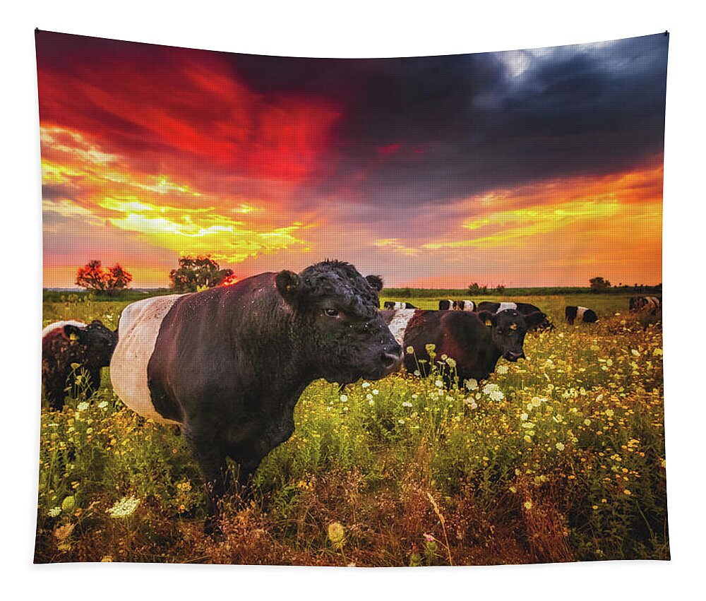 Worms Tapestry featuring the photograph Galloway Cattle during Sunset by Marc Braner